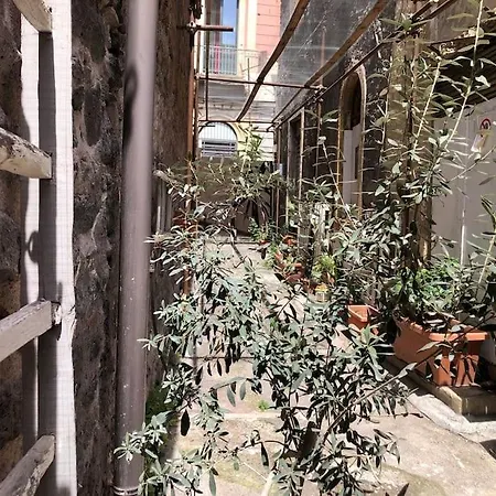 Apartment Vicolo Lavico *